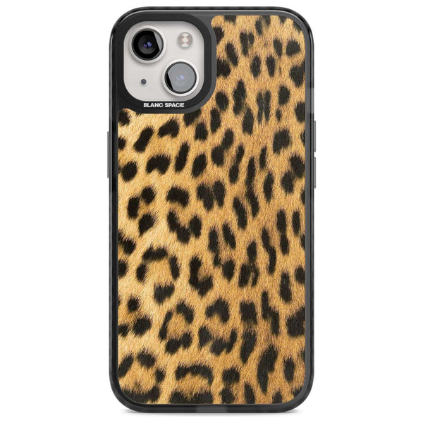 Savannah Leopard