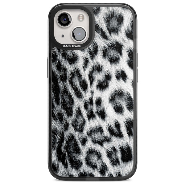 Snow Leopard