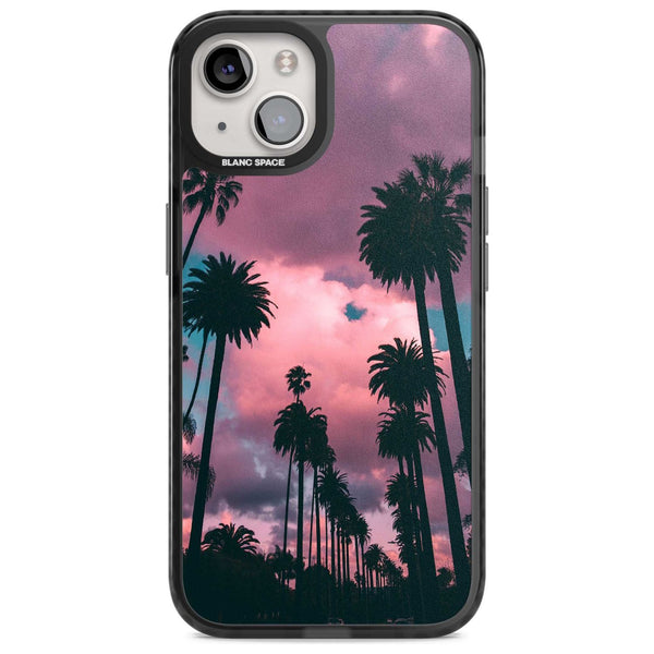 Sunset Palms