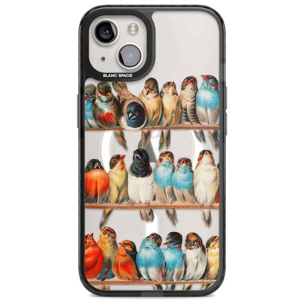 A Perch Of Birds