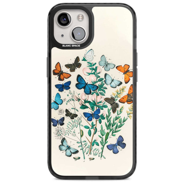 European Butterflies
