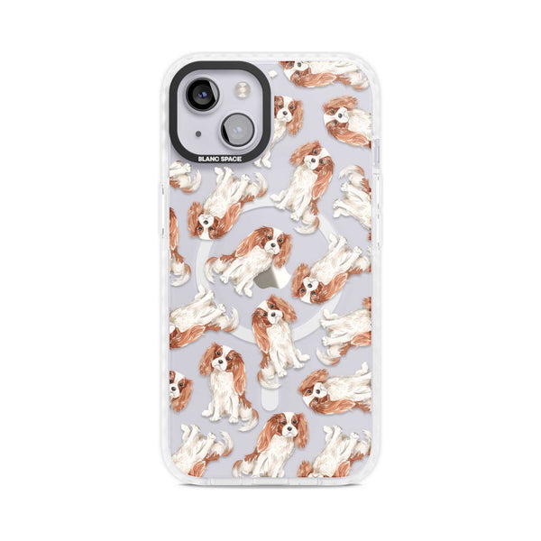 Cavalier King Charles Spaniel