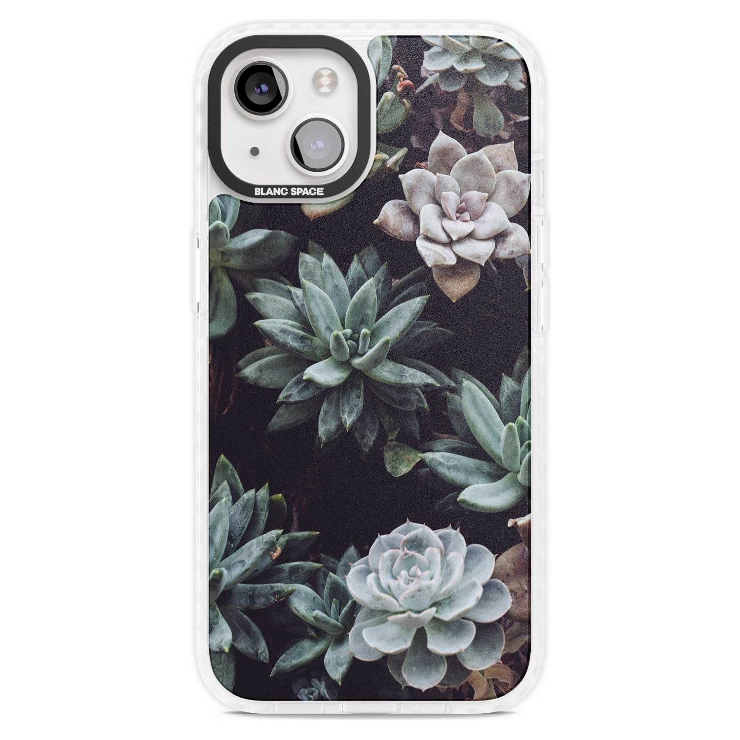 Mixed Succulents - Real Botanical Photographs Phone Case iPhone 15 Plus / Magsafe Impact Case,iPhone 15 / Magsafe Impact Case Blanc Space