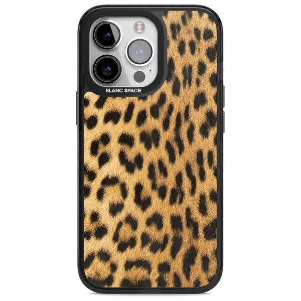 Savannah Leopard