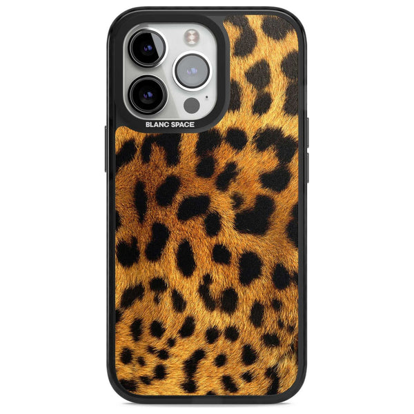 Leopard Print