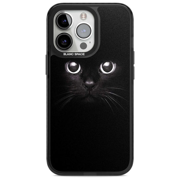 Black Cat