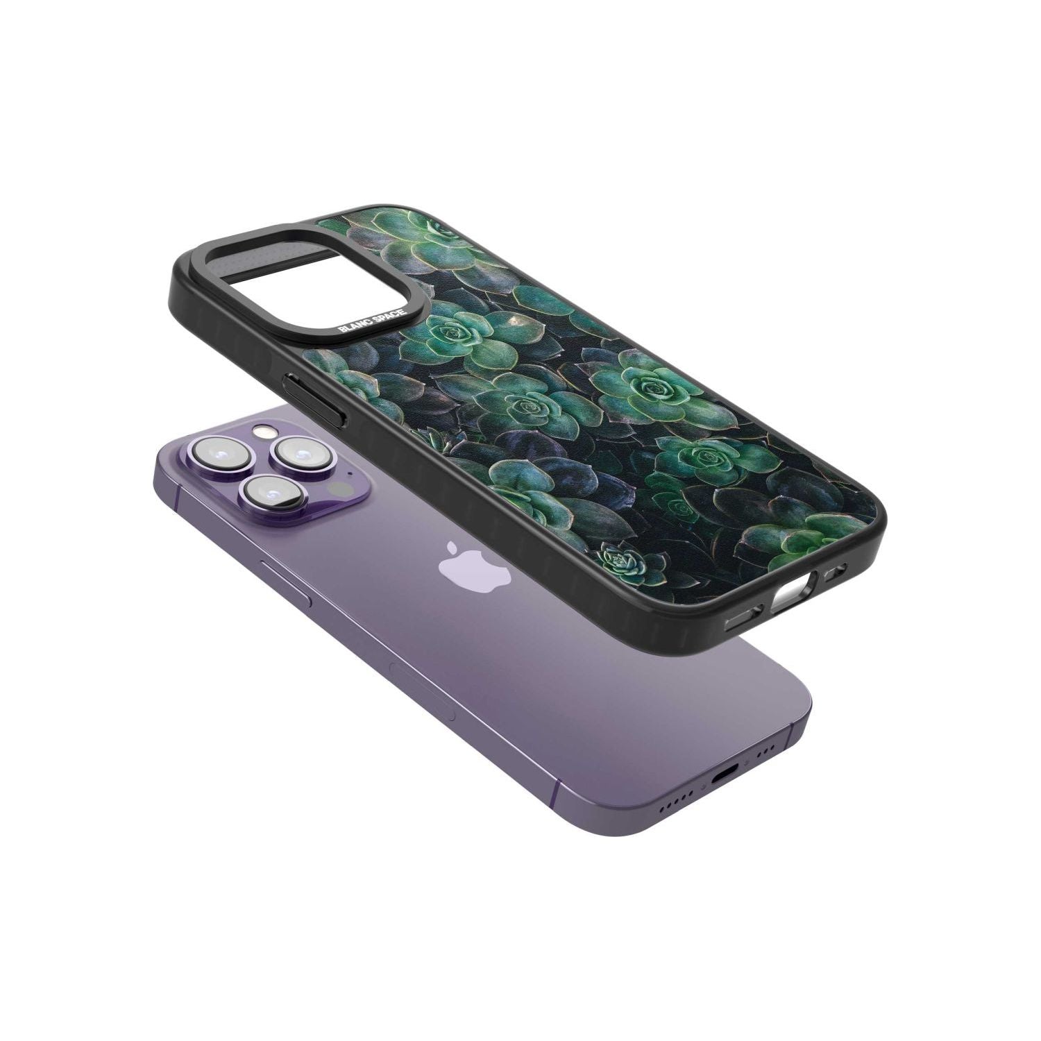 Succulent Bloom Botanical