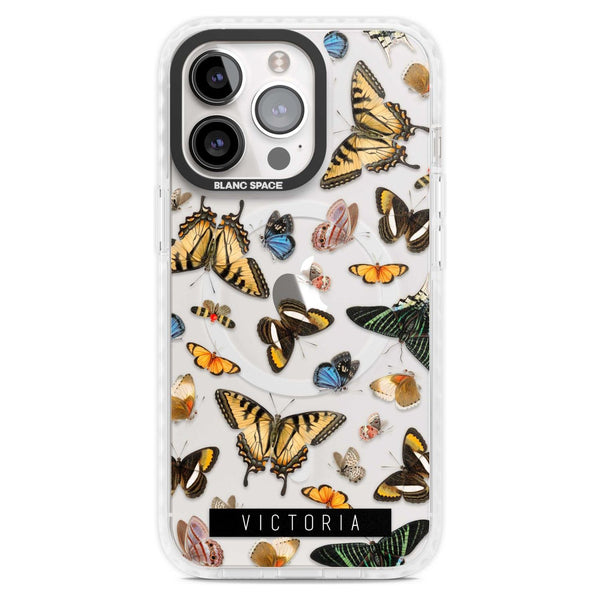 Personalised Butterfly Archive