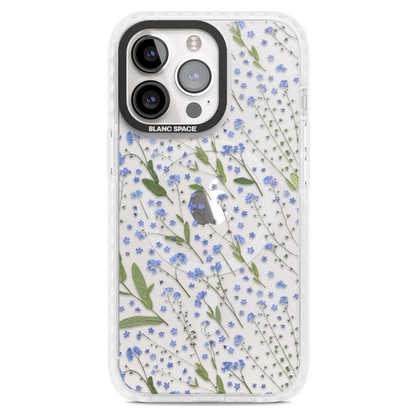 Blue Meadow
