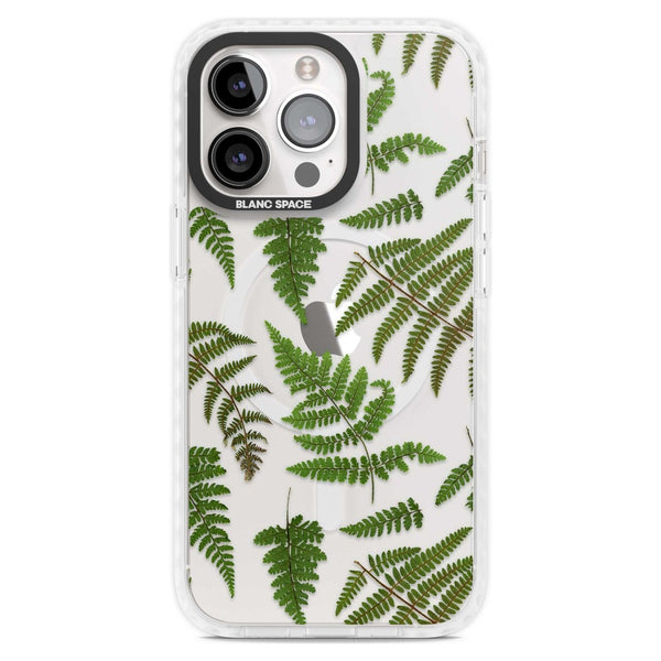 Leafy Ferns
