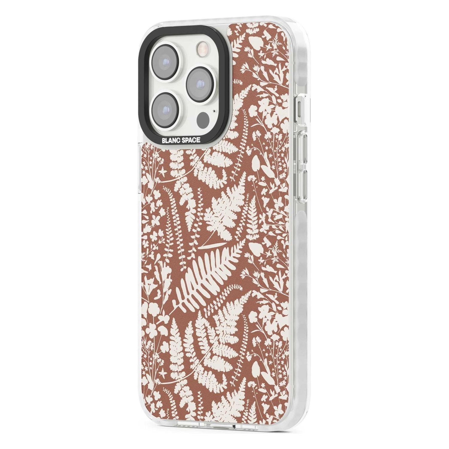 Wildflowers And Ferns On Terracotta