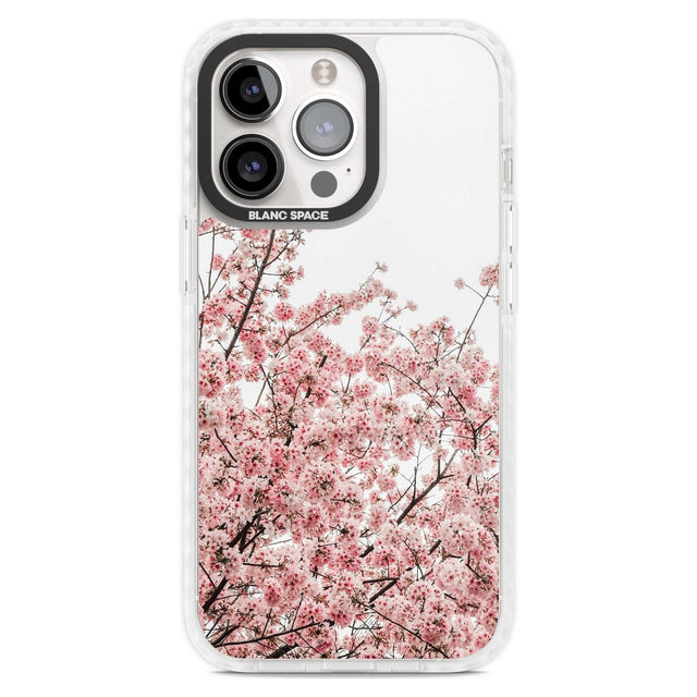 Cherry Blossoms - Real Floral Photographs Phone Case iPhone 15 Pro Max / Magsafe Impact Case,iPhone 15 Pro / Magsafe Impact Case Blanc Space