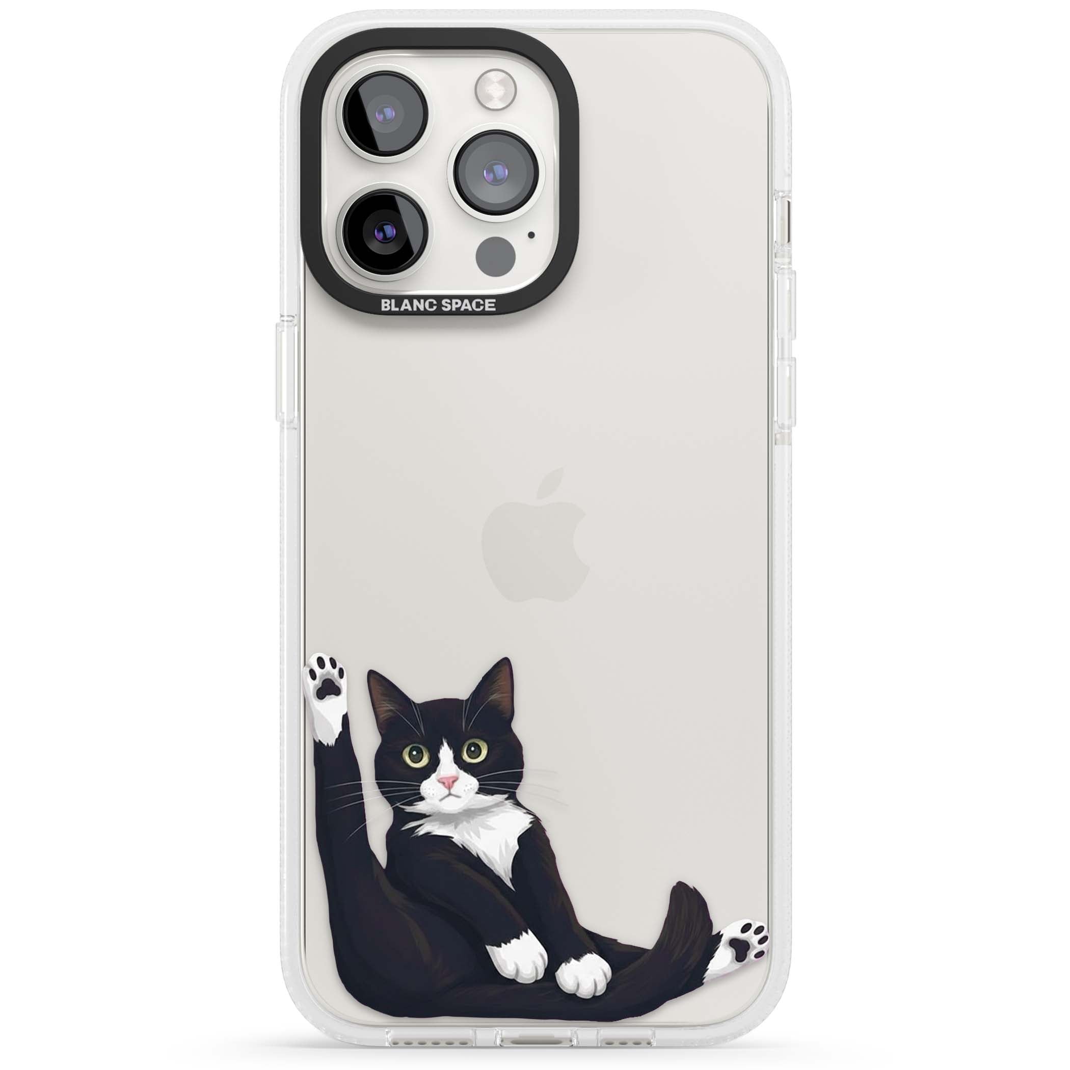 Mid-Groom Cat animals iPhone case | Clear Case Impact Air case for iPhone 15 Pro, iPhone 15 Pro Max