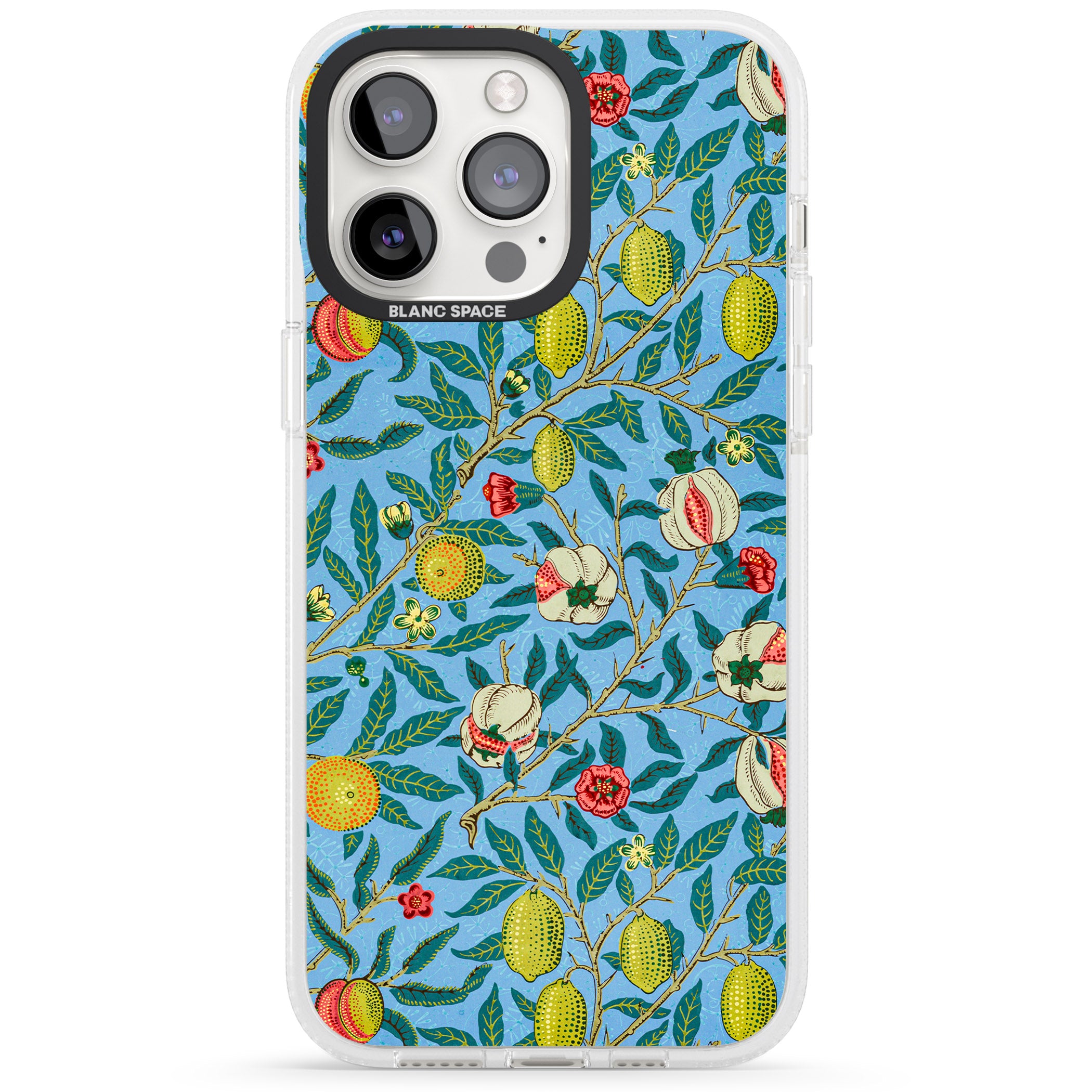 Vintage Fruits iPhone 15 Pro Max / 15 Pro / 14 Pro Max / 14 Pro / 13 Pro Clear Case Impact Air - Blanc Space