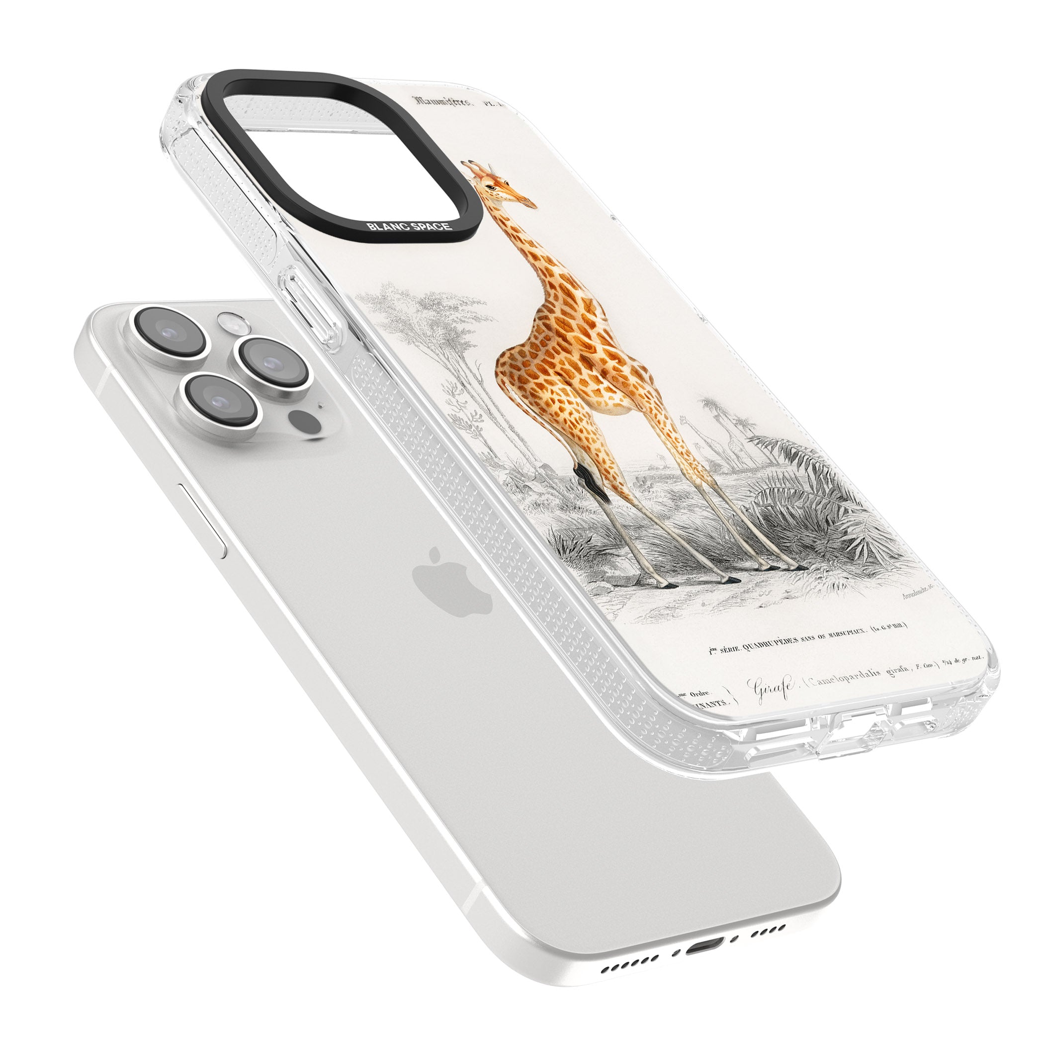 Vintage Giraffe Art iPhone 15 Pro Max / 15 Pro / 14 Pro Max / 14 Pro / 13 Pro Clear Case Impact Air - Blanc Space