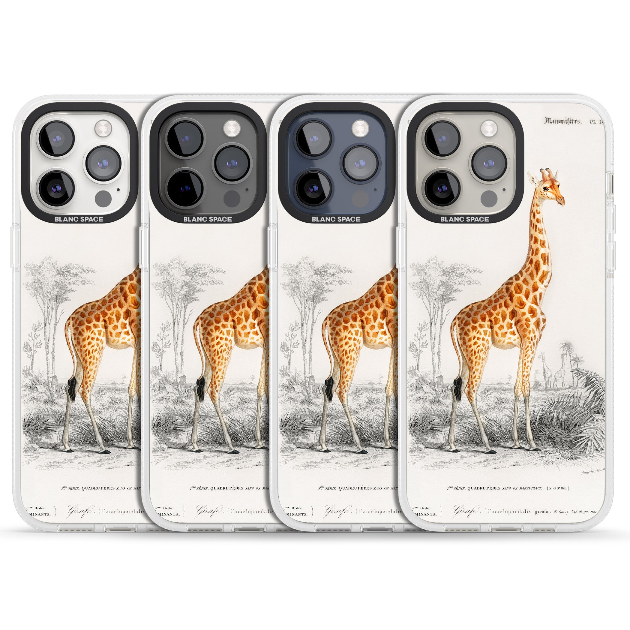 Vintage Giraffe Art iPhone 15 Pro Max / 15 Pro / 14 Pro Max / 14 Pro / 13 Pro Clear Case Impact Air - Blanc Space