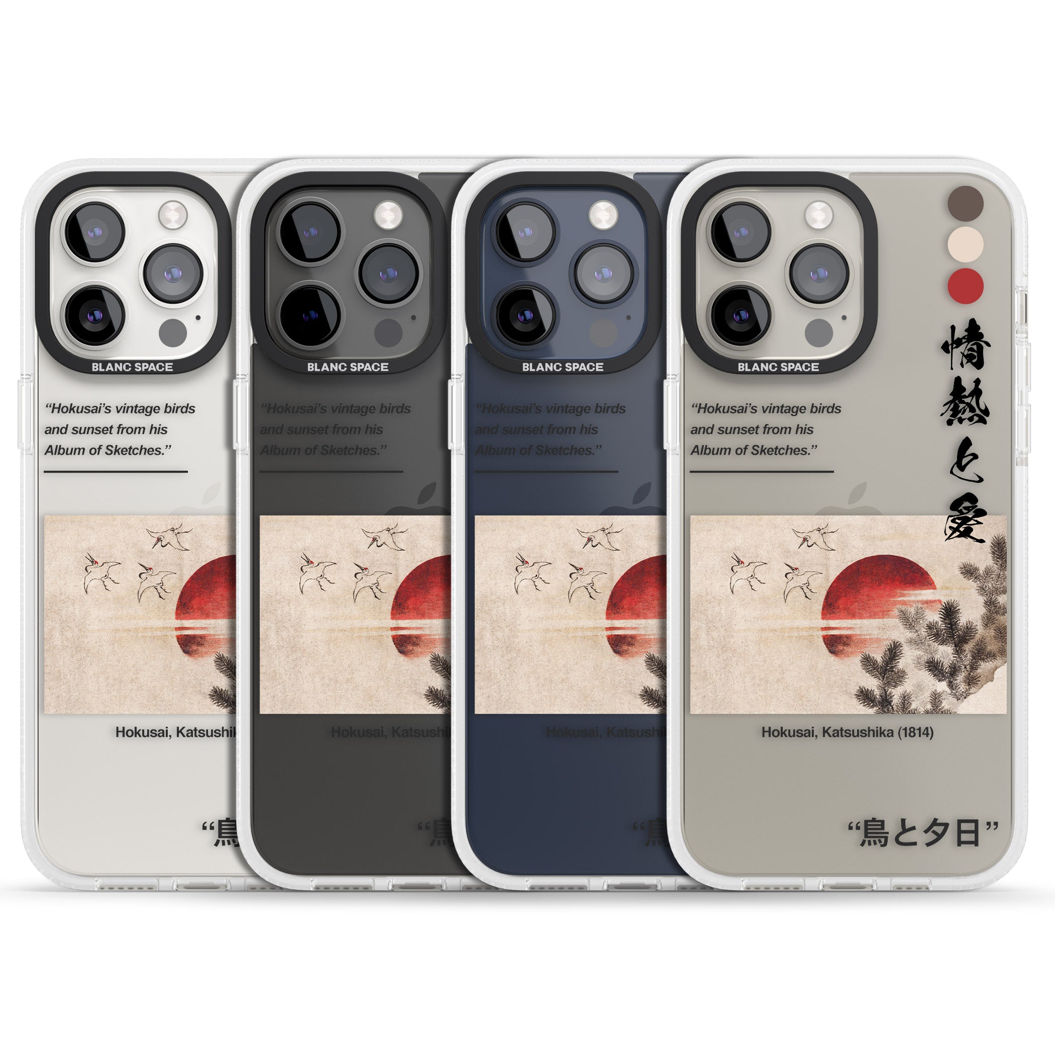 Birds and Sunset iPhone 15 Pro Max / 15 Pro / 14 Pro Max / 14 Pro / 13 Pro Clear Case Impact Air - Blanc Space