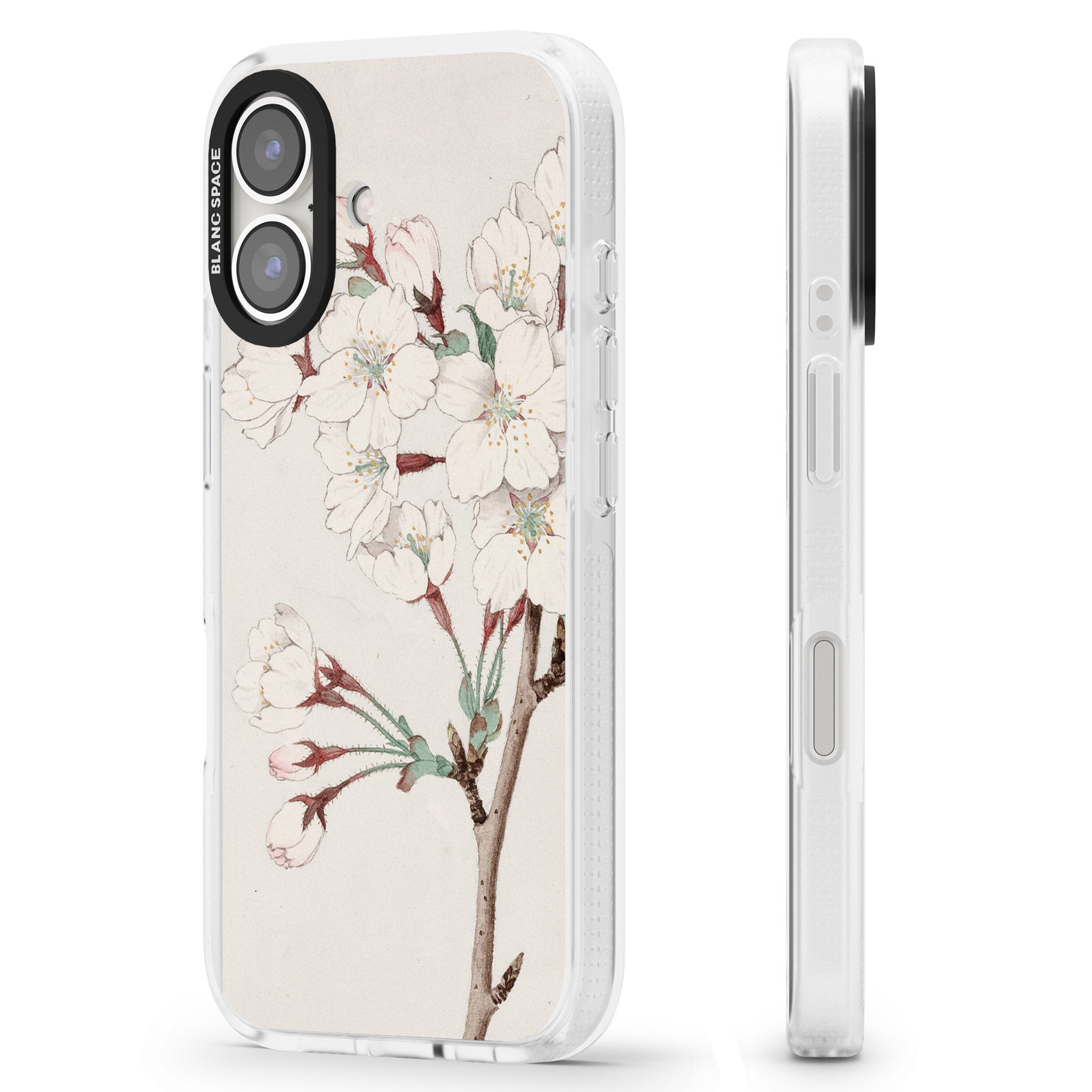 Vintage Japanese Illustrations Cherry Blossoms iPhone 16 / 16 Plus Clear Case Impact Air - Blanc Space