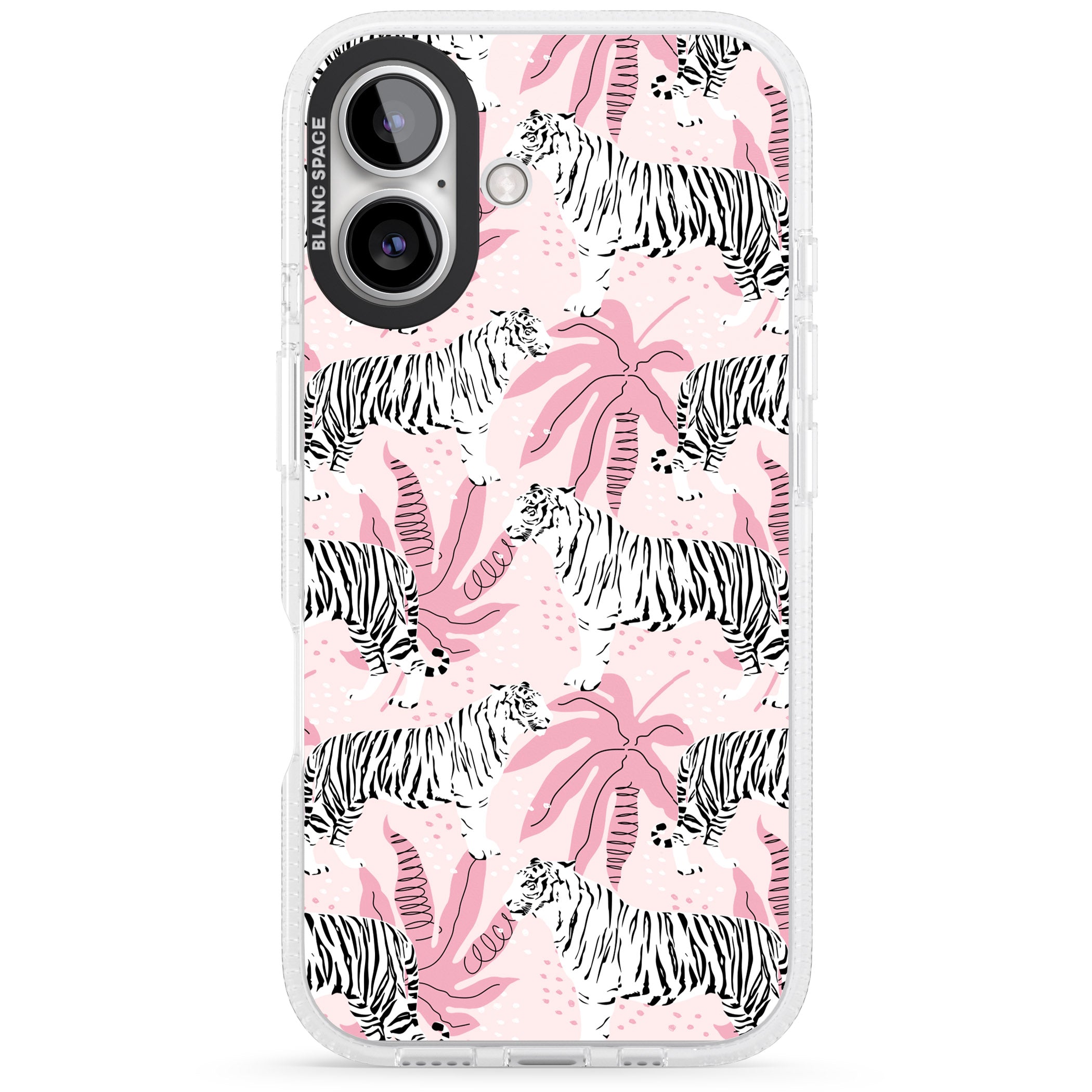 Pink Tiger Palm