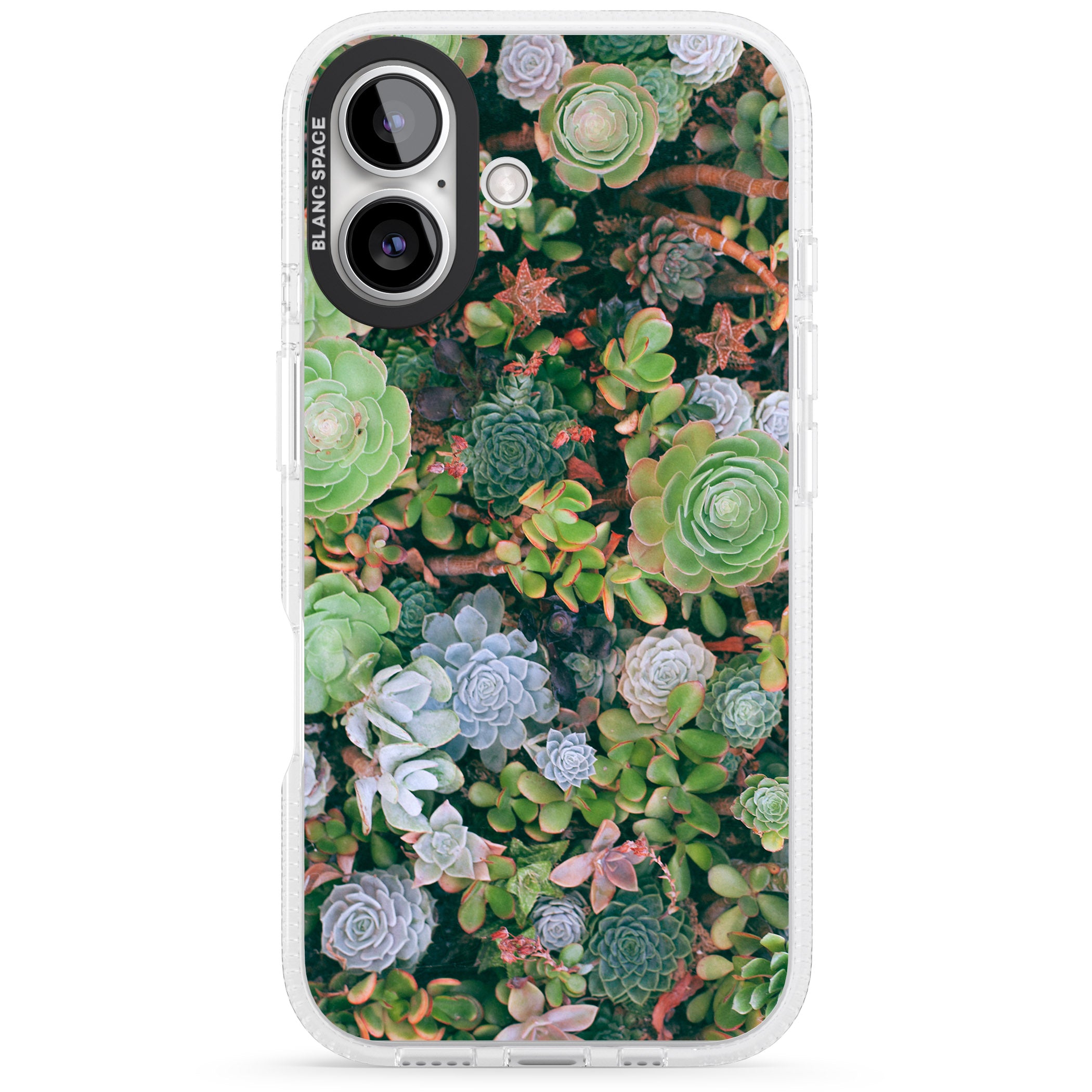 Colourful Succulents Photograph iPhone 16 / 16 Plus Clear Case Impact Air - Blanc Space
