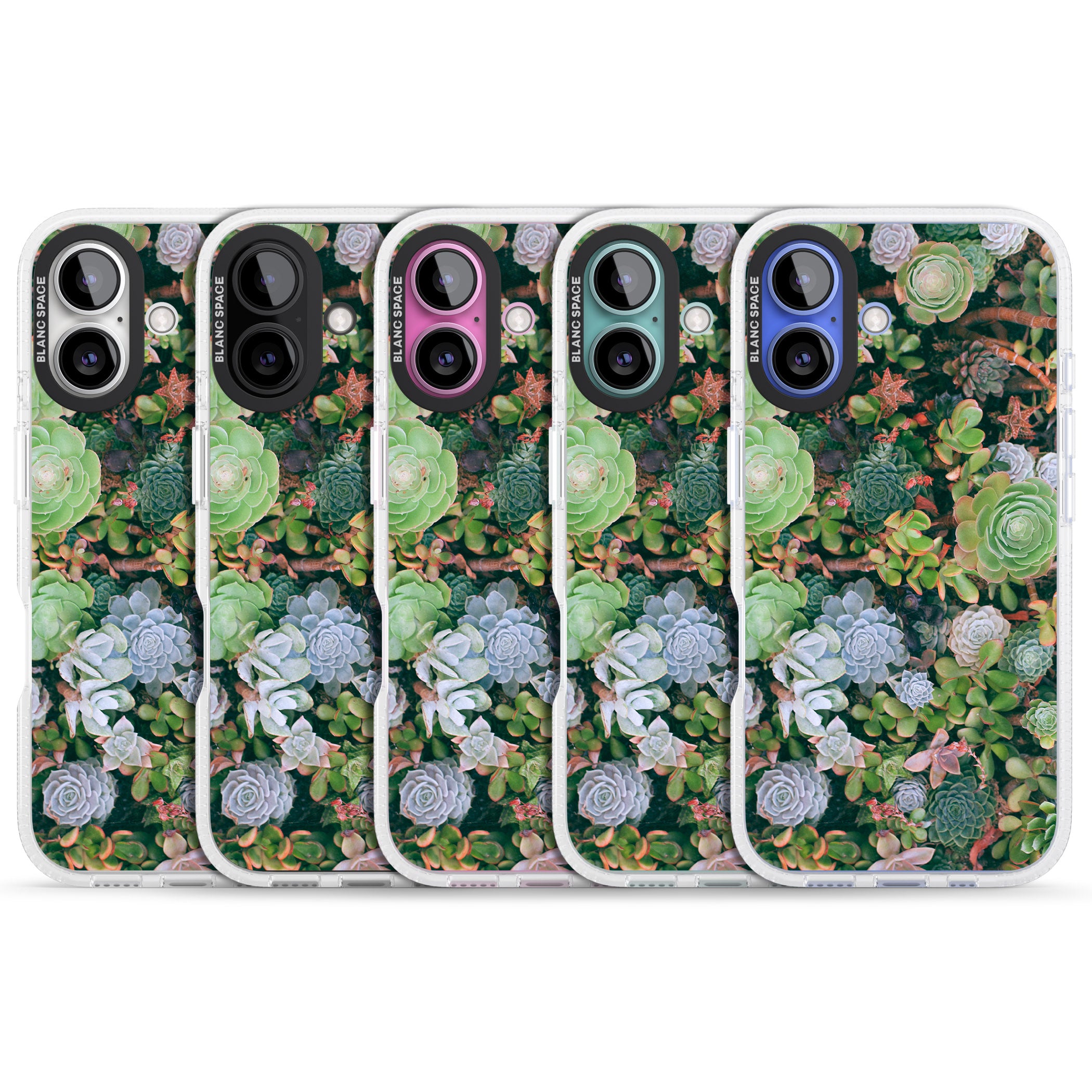 Colourful Succulents Photograph iPhone 16 / 16 Plus Clear Case Impact Air - Blanc Space
