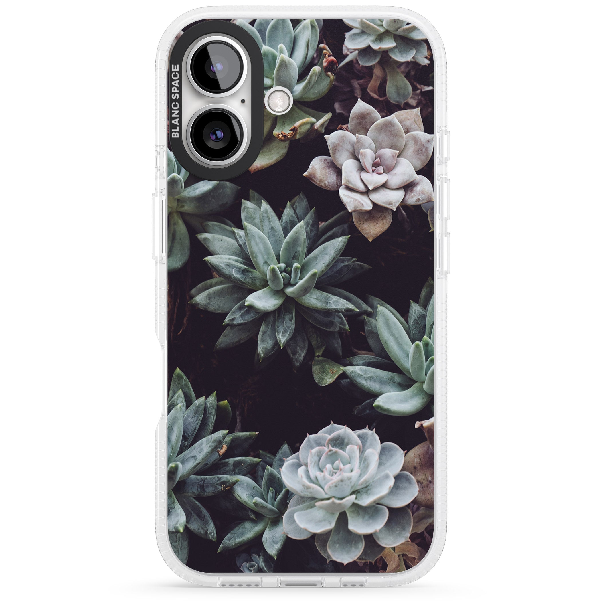 Mixed Succulents - Real Botanical Photographs iPhone 16 / 16 Plus Clear Case Impact Air - Blanc Space