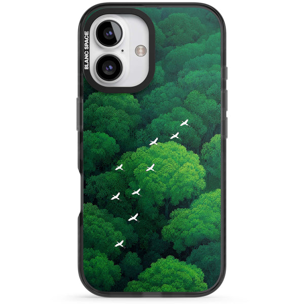 Grove Migration