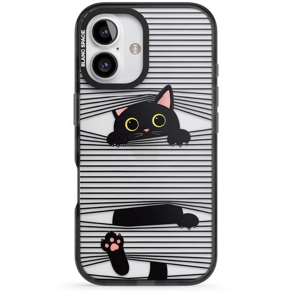 Peek-a-Boo Cat
