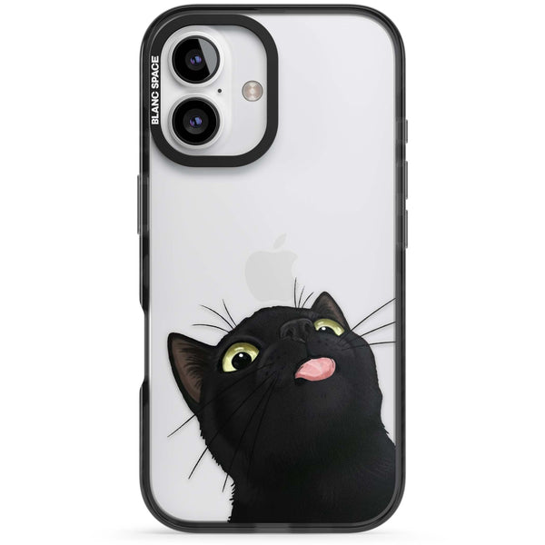 Black Cat Energy