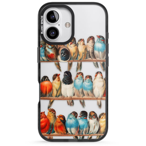A Perch Of Birds
