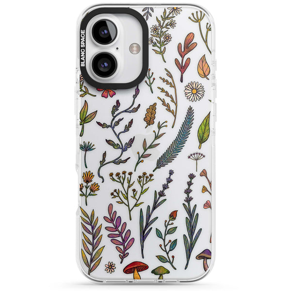 Autumn Wildflowers