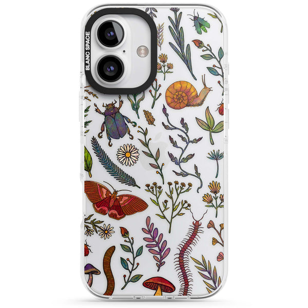 Bugs & Wildflowers