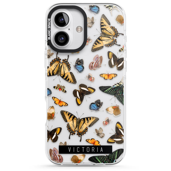 Personalised Butterfly Archive