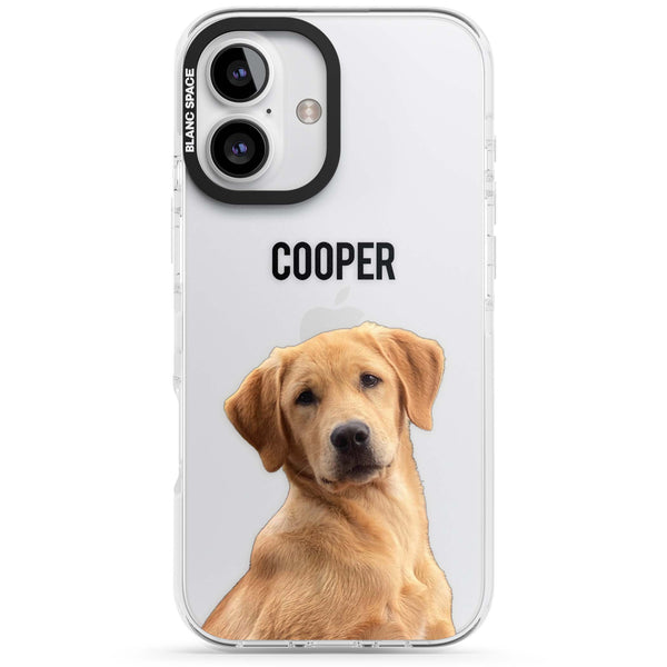 Personalised Pet Cutout & Name