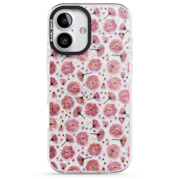 Pink Florals & Blossom