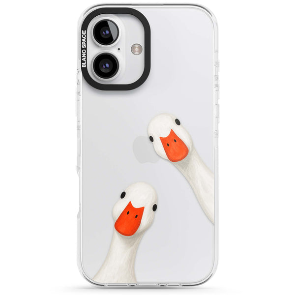 Nosy Ducks