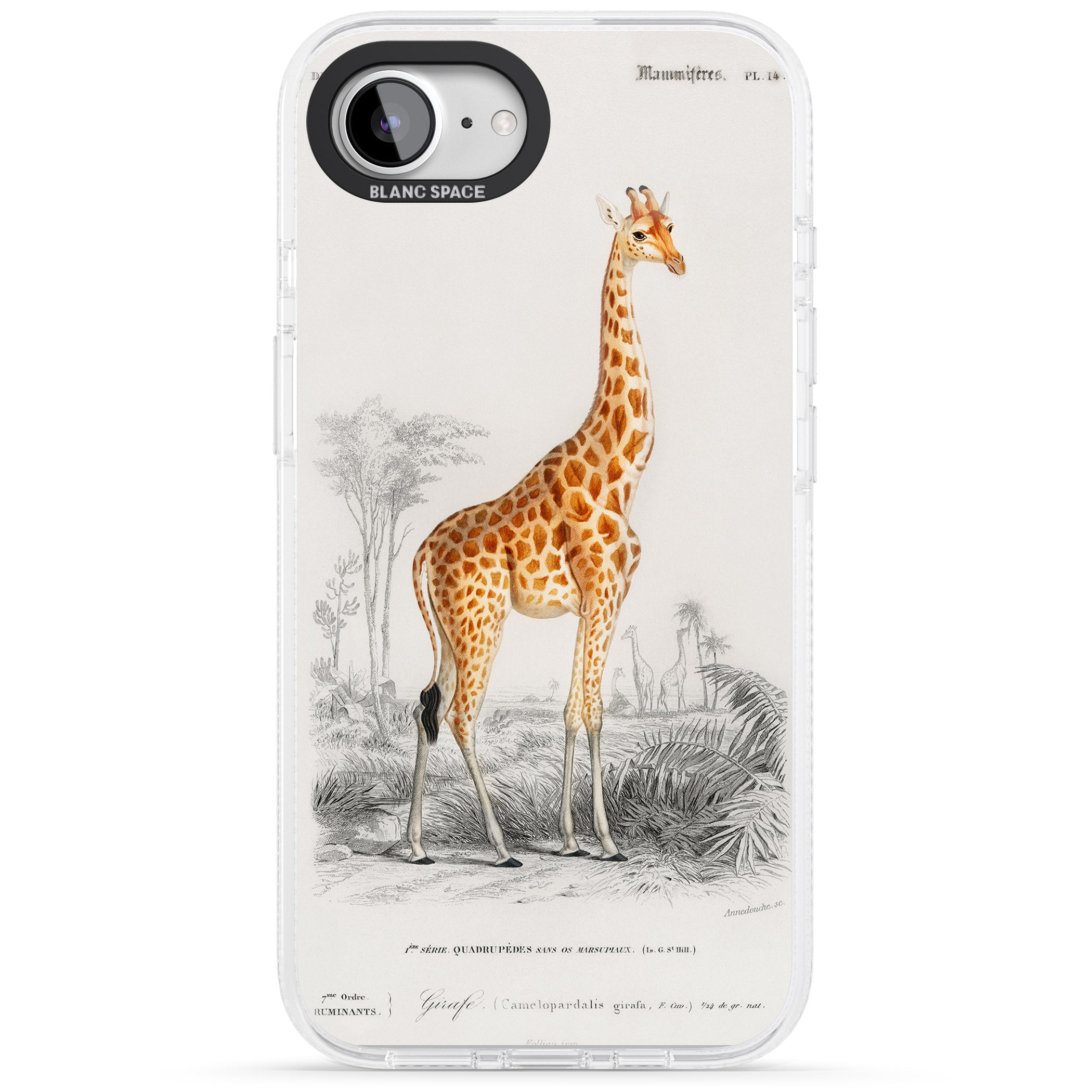 Vintage Giraffe Art iPhone 16e Clear Case Impact Air - Blanc Space