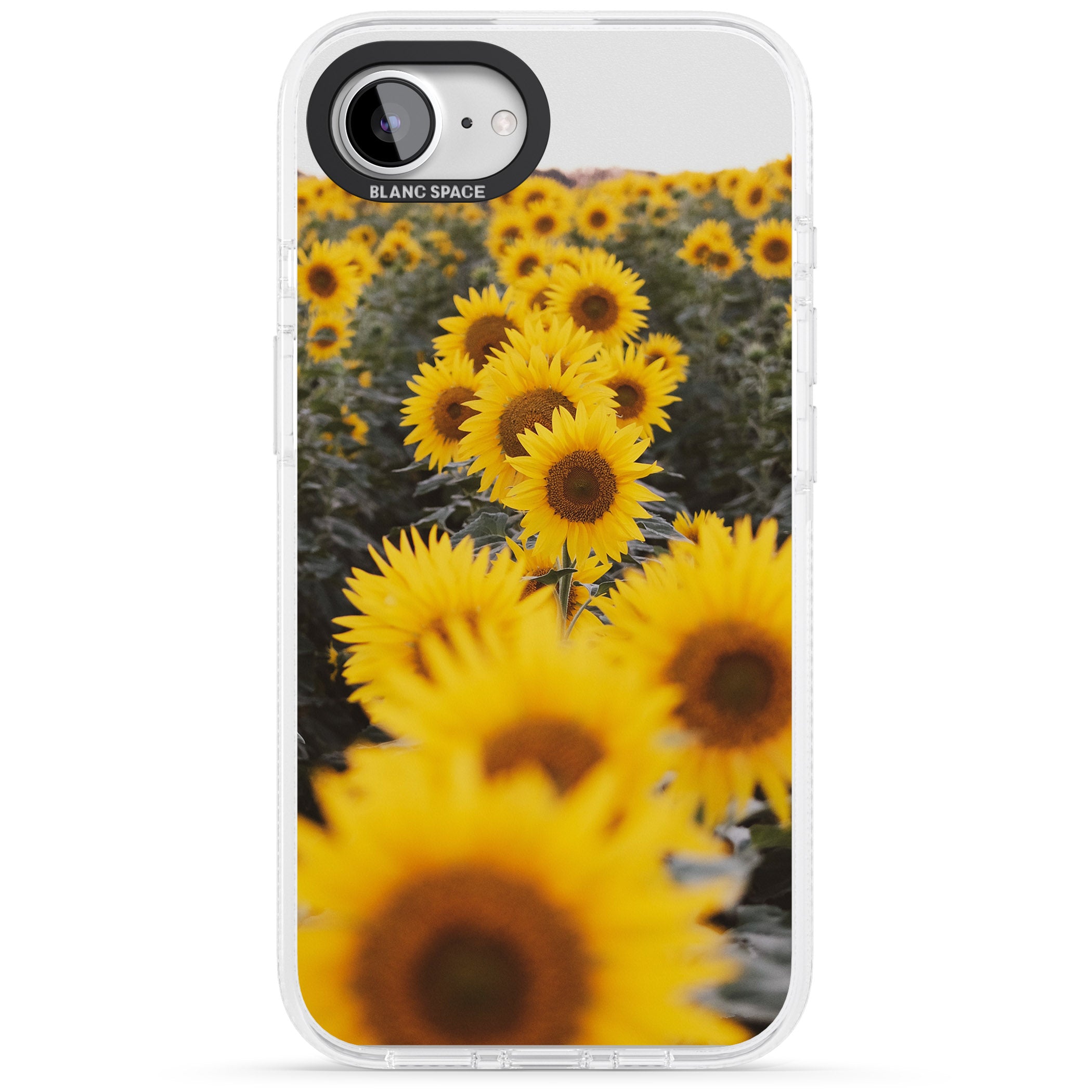 Sunflower Field Photograph iPhone 16e Clear Case Impact Air - Blanc Space
