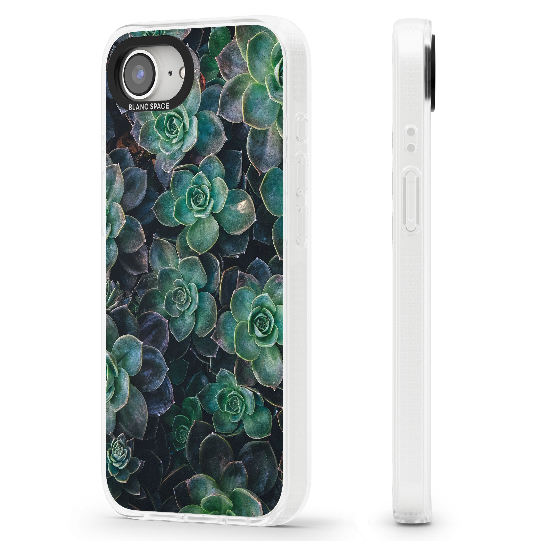 Succulents - Real Botanical Photographs iPhone 16e Clear Case Impact Air - Blanc Space