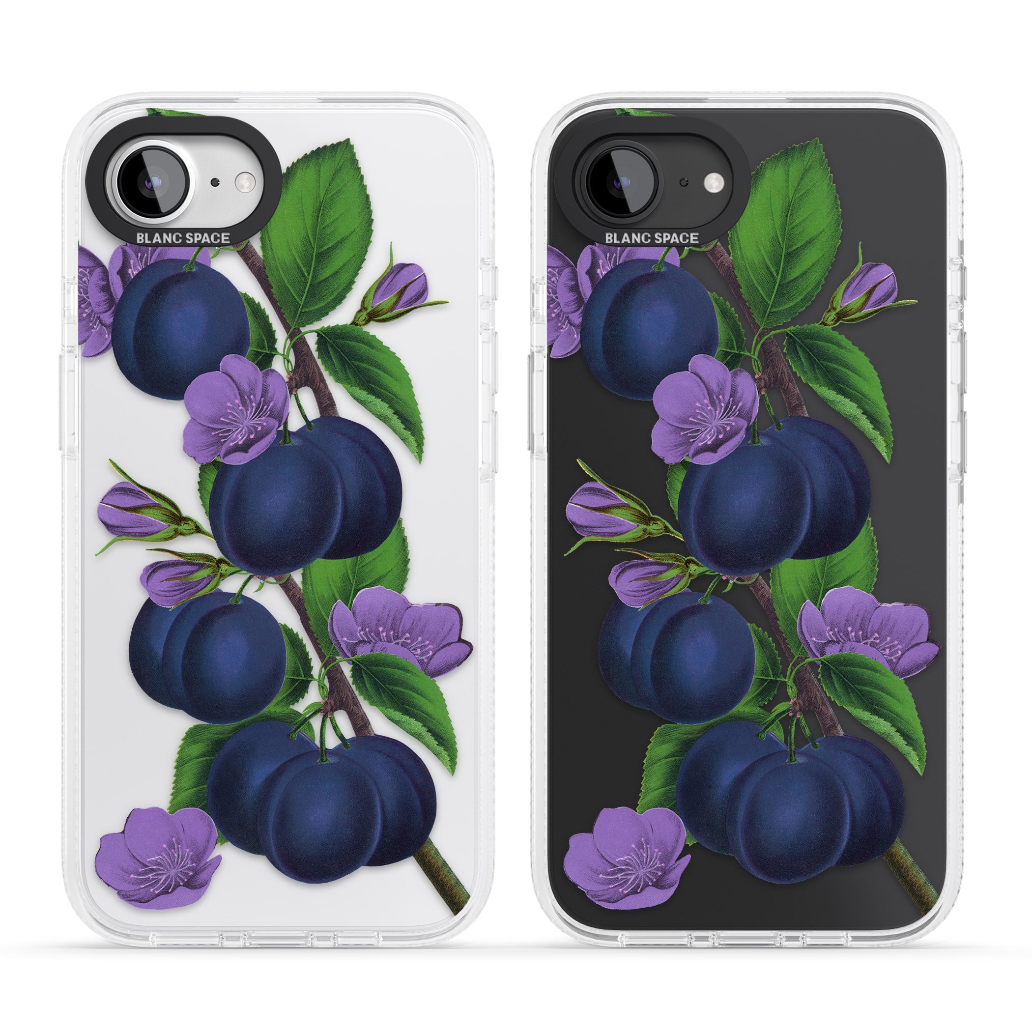 Vintage Painted Plums iPhone 16e Clear Case Impact Air - Blanc Space