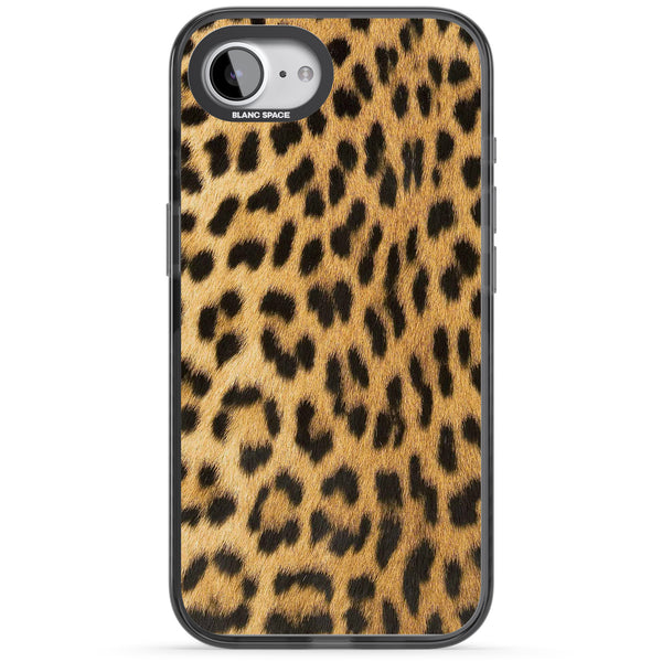 Savannah Leopard