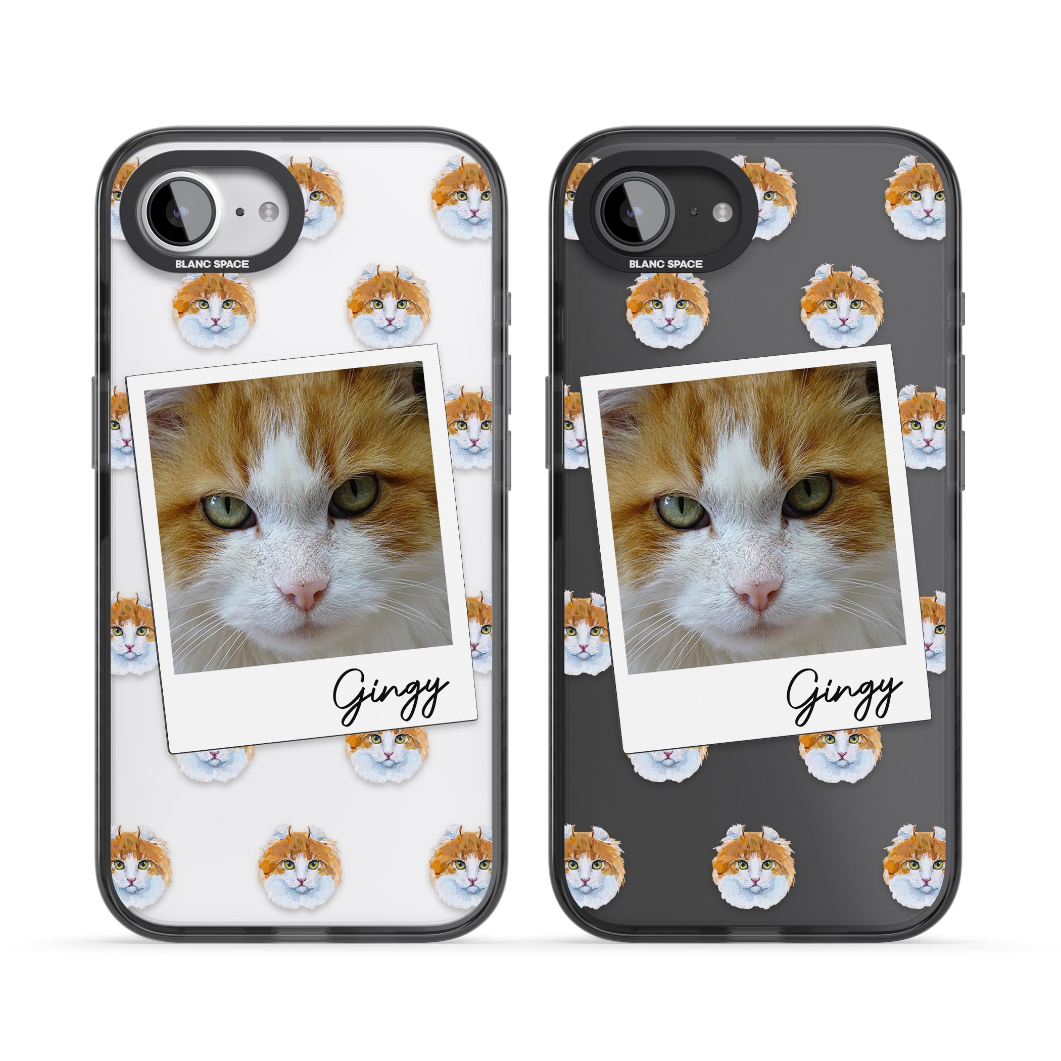 Personalised American Curl Photo