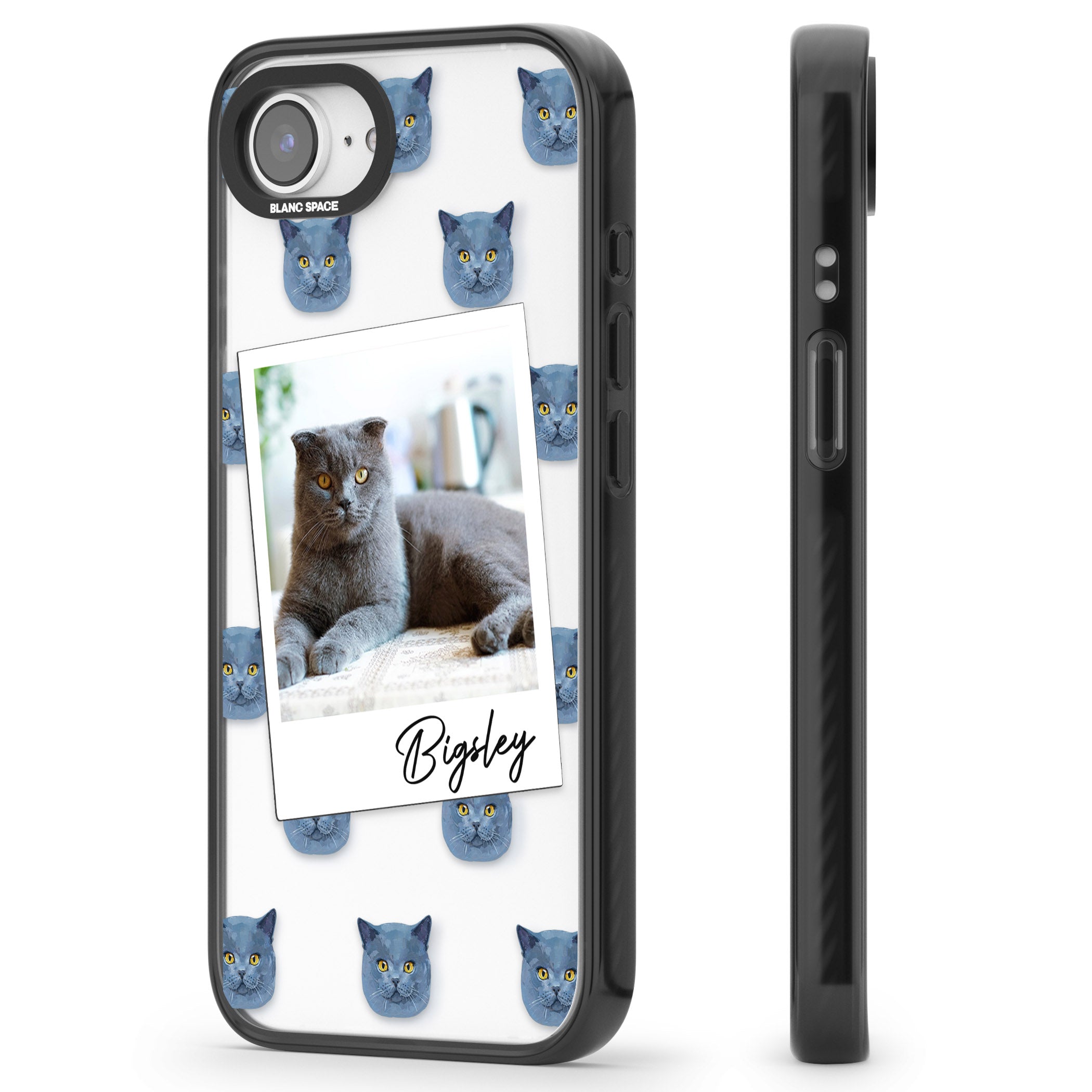 Personalised English Blue Cat Photo