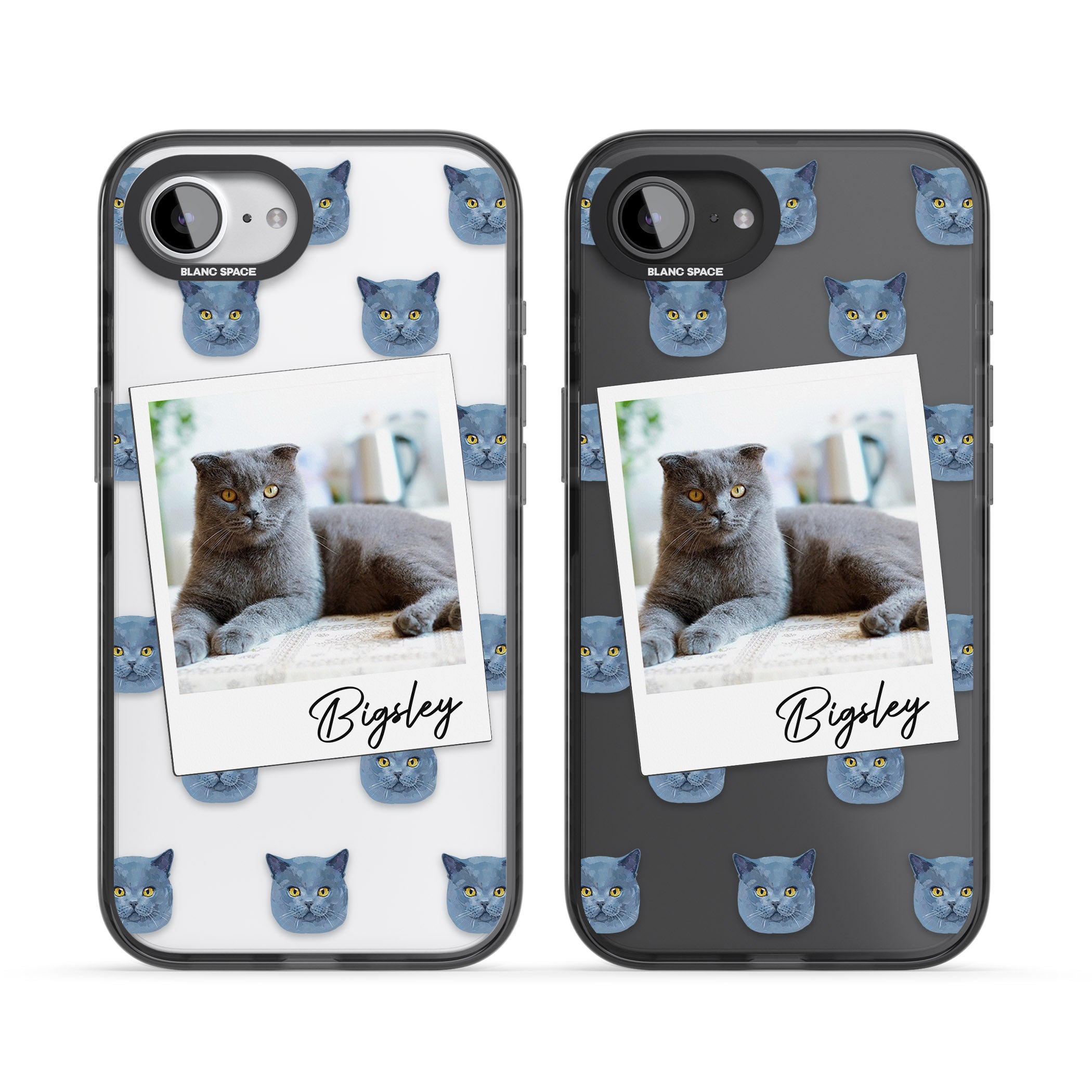 Personalised English Blue Cat Photo