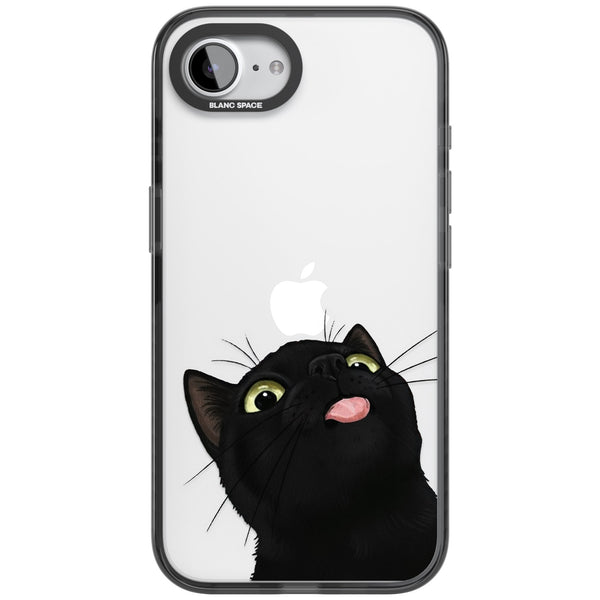 Black Cat Energy