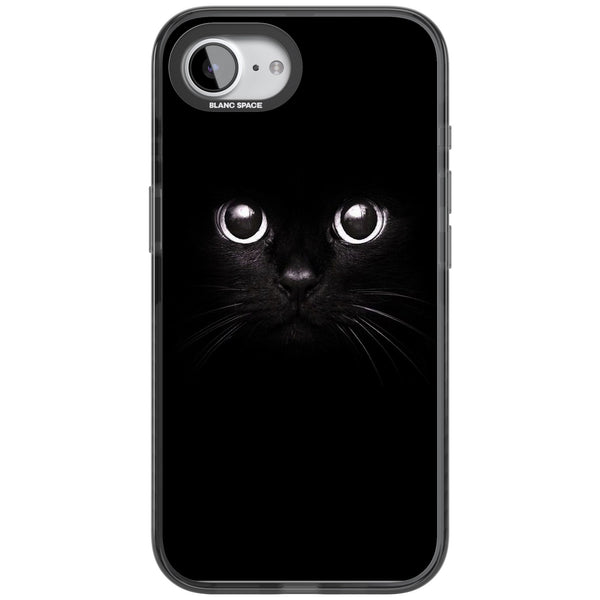 Black Cat