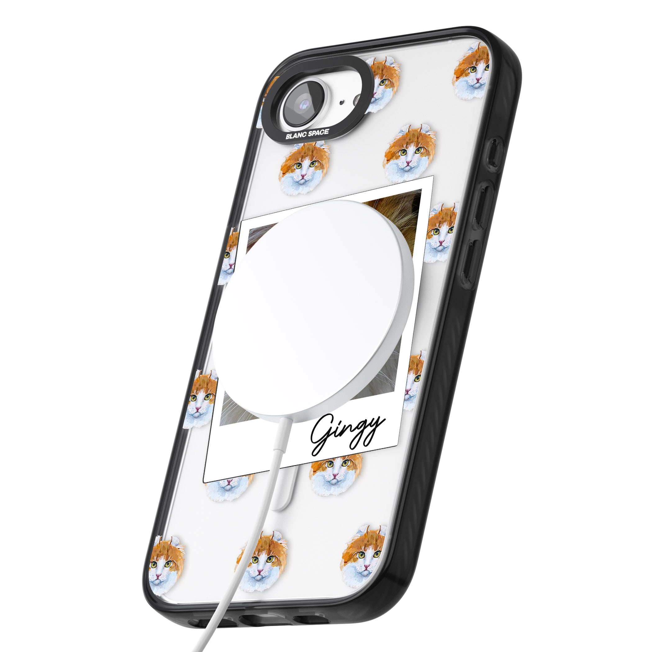 Personalised American Curl Photo