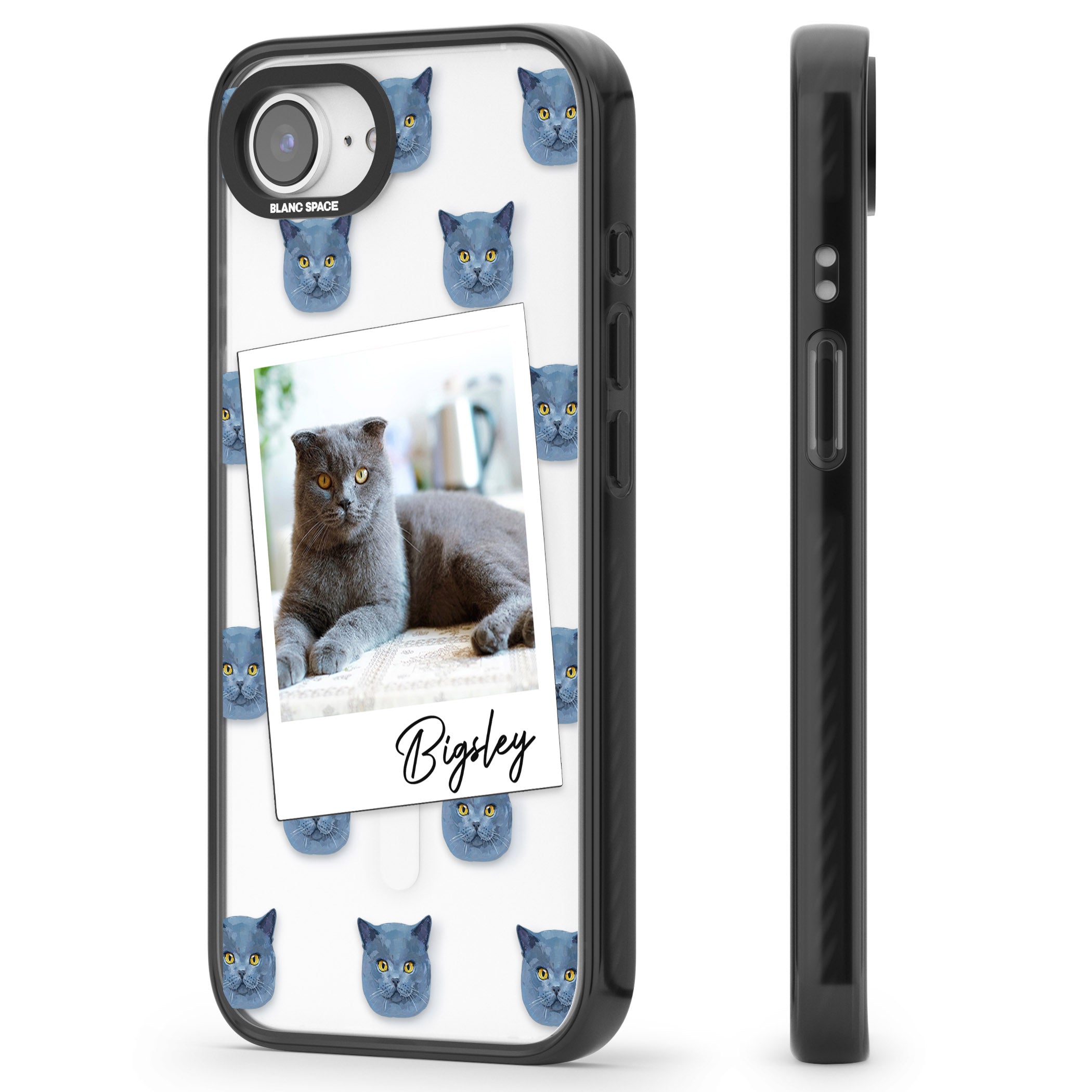 Personalised English Blue Cat Photo