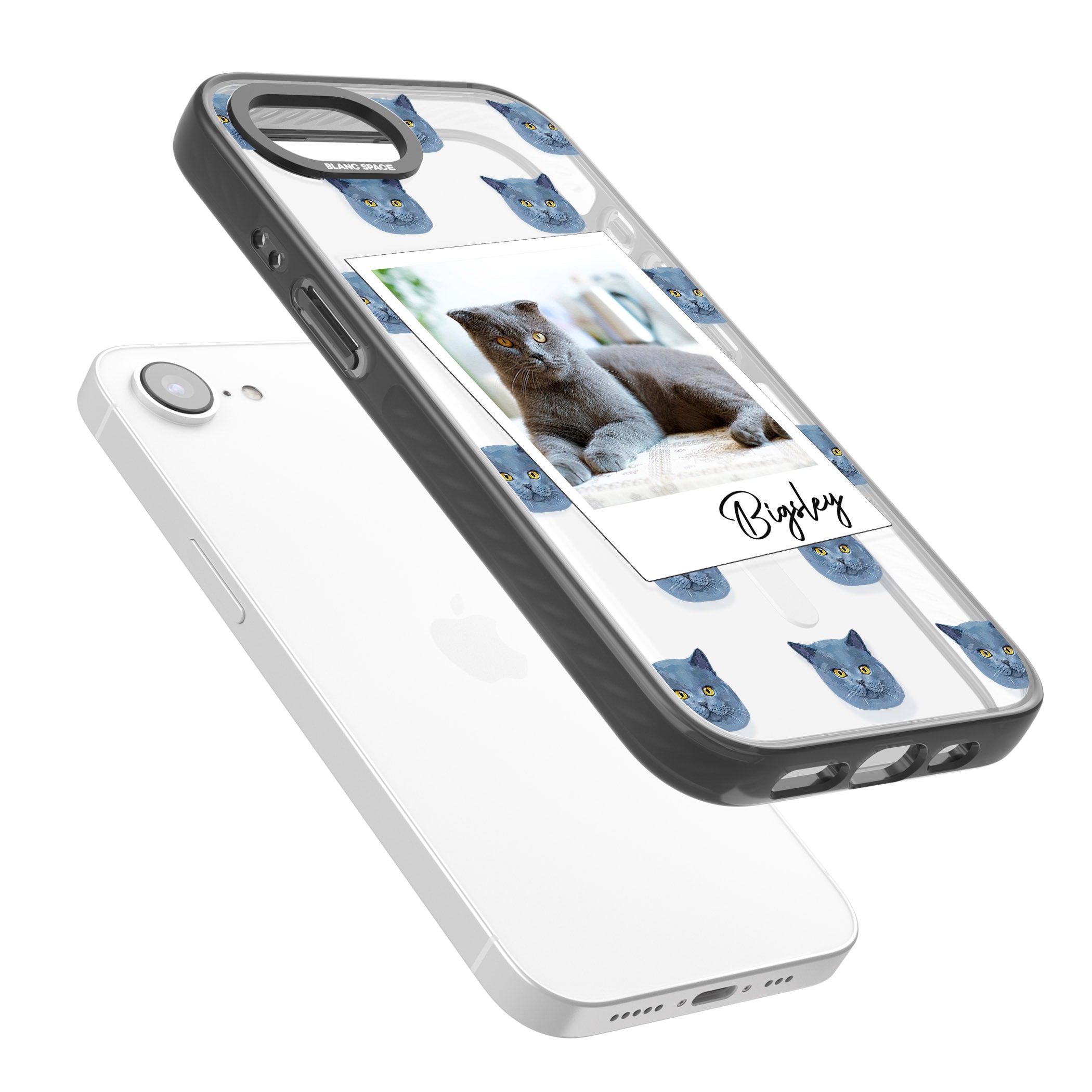 Personalised English Blue Cat Photo