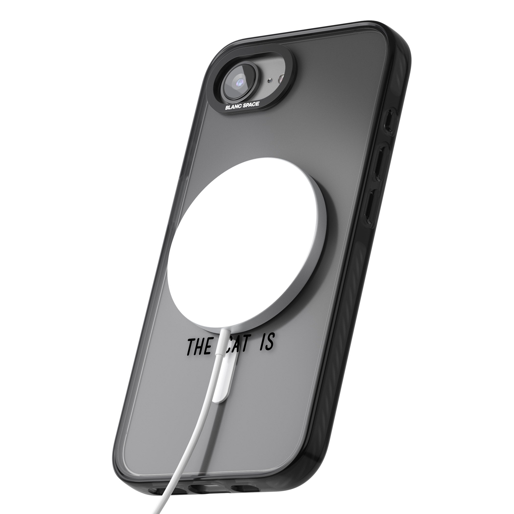 Home Is Where The Cat Is